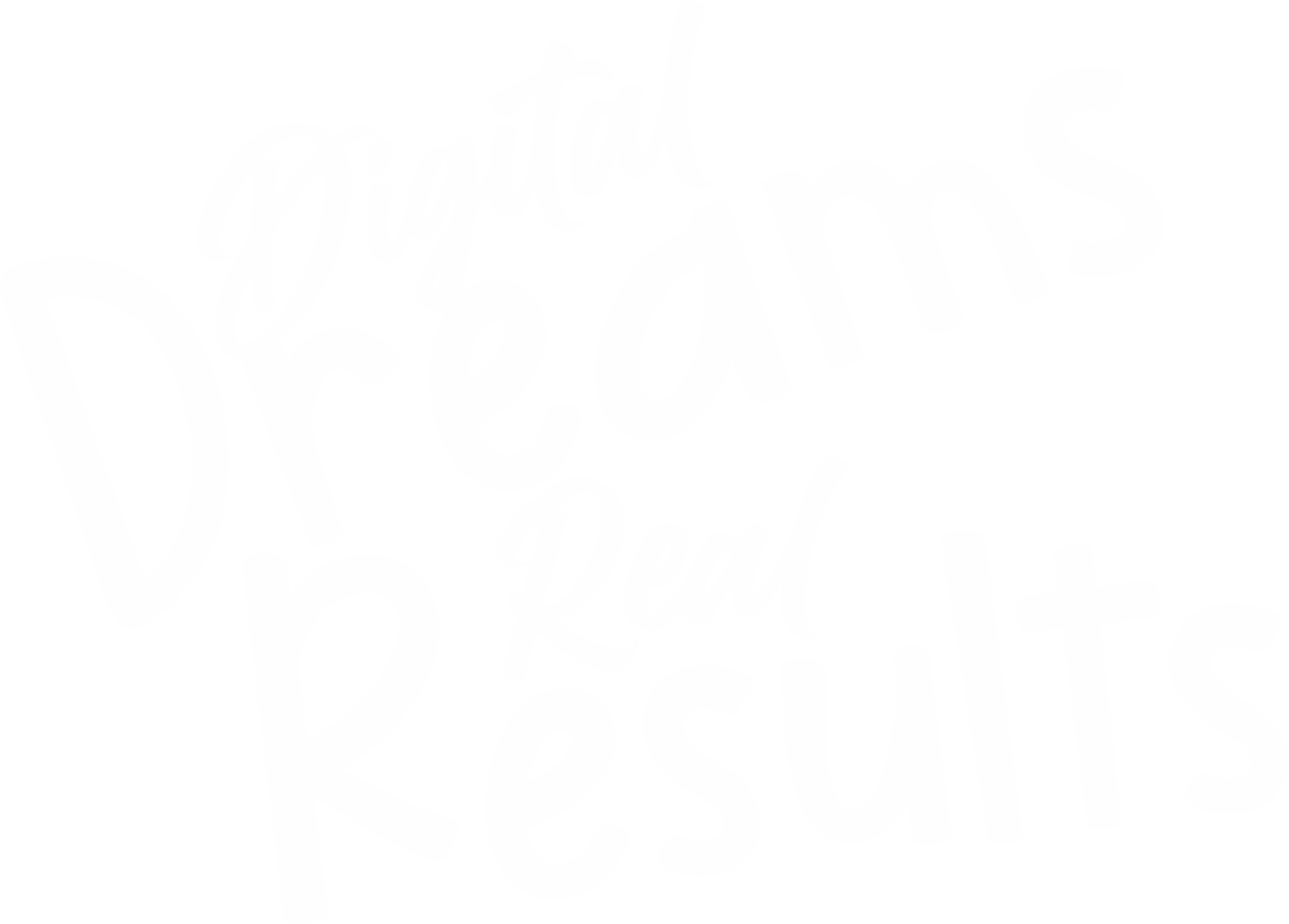 Digital Dreams Real Results